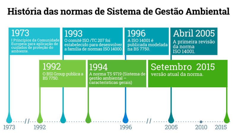 History of Environmental Management System Standards