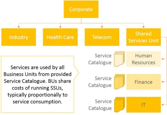 Type II Service providers