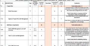 Consultant toolkit Division of tasks and time plan