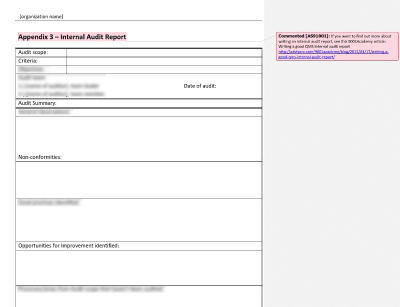 Internal Audit Report - 9100Academy