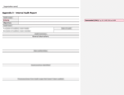 Internal Audit Report - 13485Academy