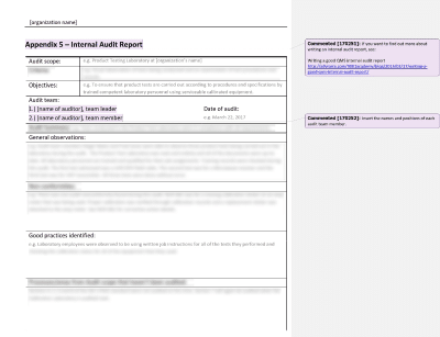 Internal Audit Report - 17025Academy