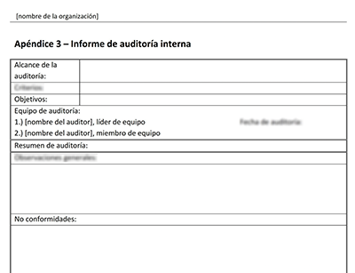 Informe de auditoría interna - 9001Academy