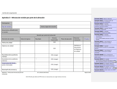 Minutas de revisión por parte de la dirección - 9001Academy