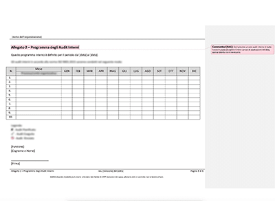 Programma degli Audit Interni - 9001Academy