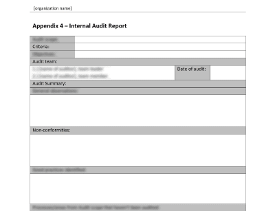 Internal Audit Report - 14001Academy