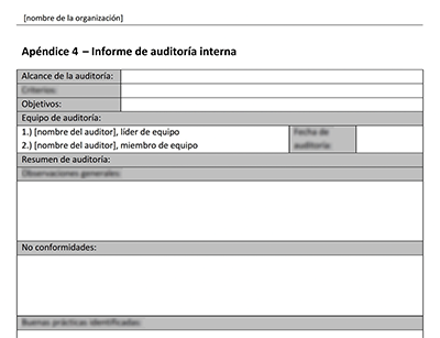 Informe de auditoría interna - 14001Academy