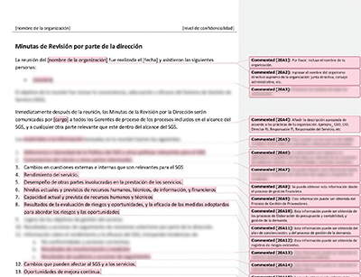 Minutas de Revisión por parte de la dirección (ISO 20000) - 20000Academy