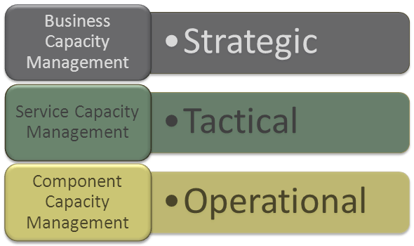 Capacity_Management_Sub_processes1.png