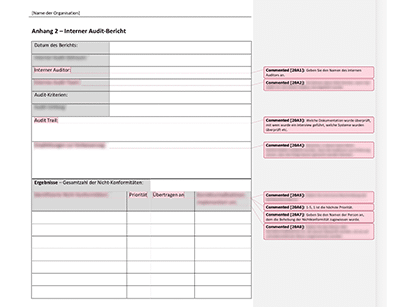 Interner Audit-Bericht (ISO 20000) - 20000Academy